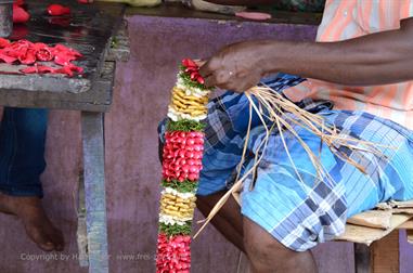 Flower-Market, Madurai,_DSC_8208_H600